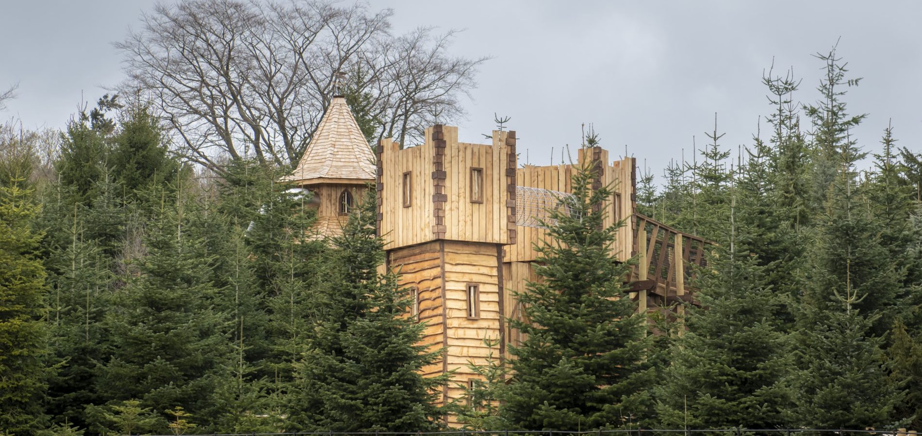 The Plotters’ Forest at Raby Castle