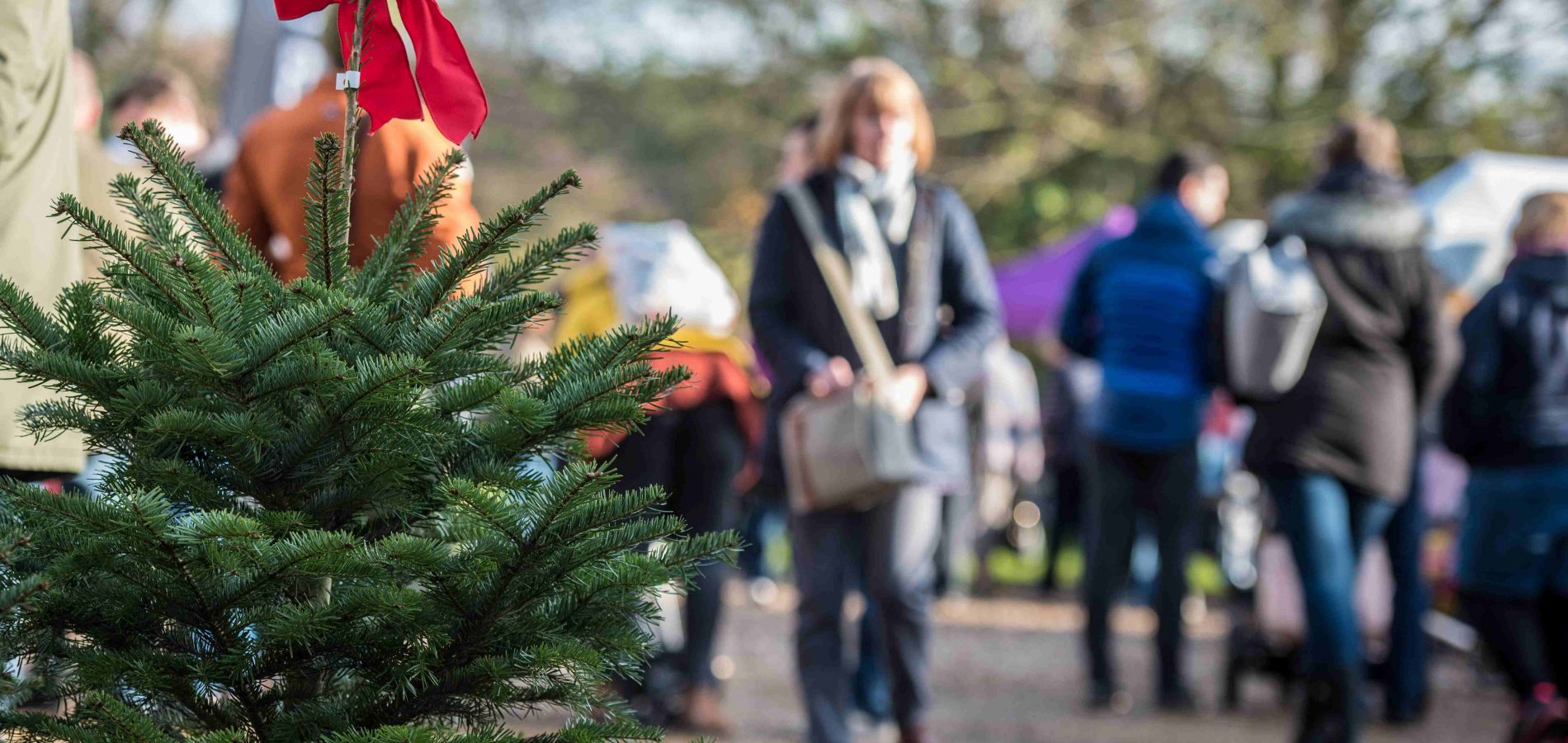 Pensthorpe Christmas Market