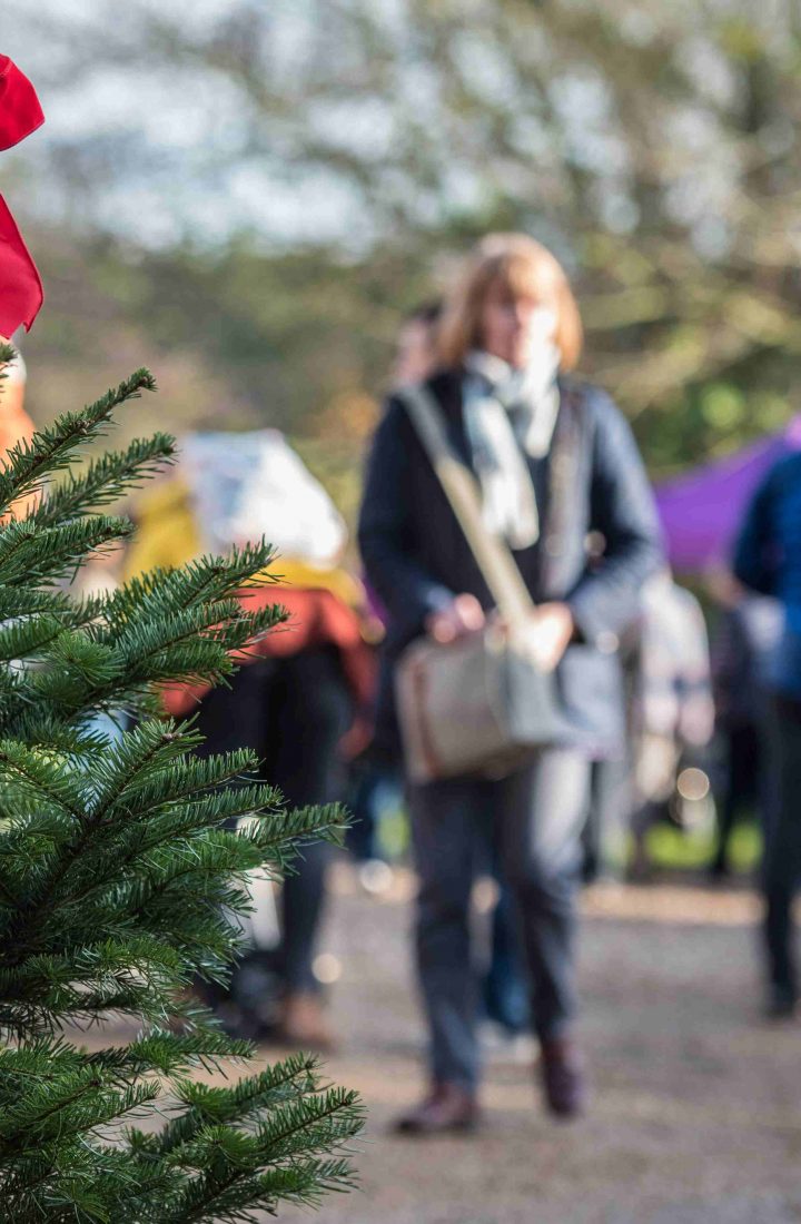 Pensthorpe Christmas Market