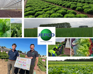 JEPCO case study